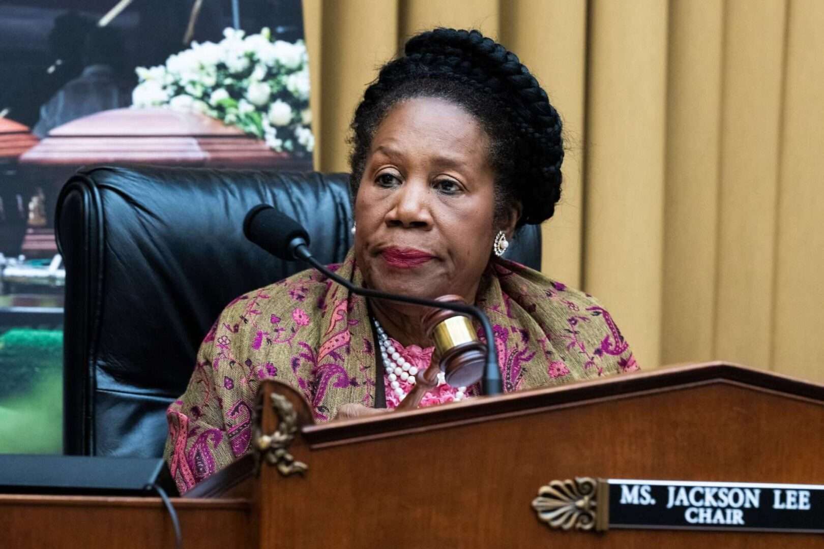 Congresswoman Sheila Jackson Lee Discusses Economic Inequality in Recent Town Hall