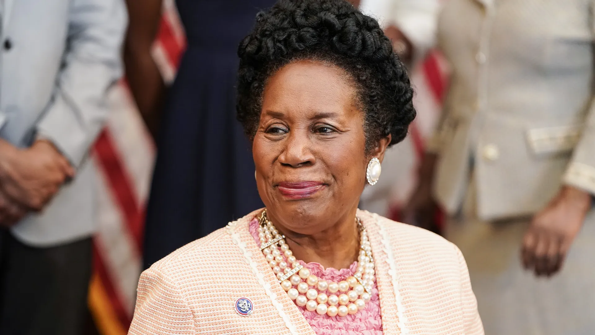 Sheila Jackson Lee's Proposal Aims