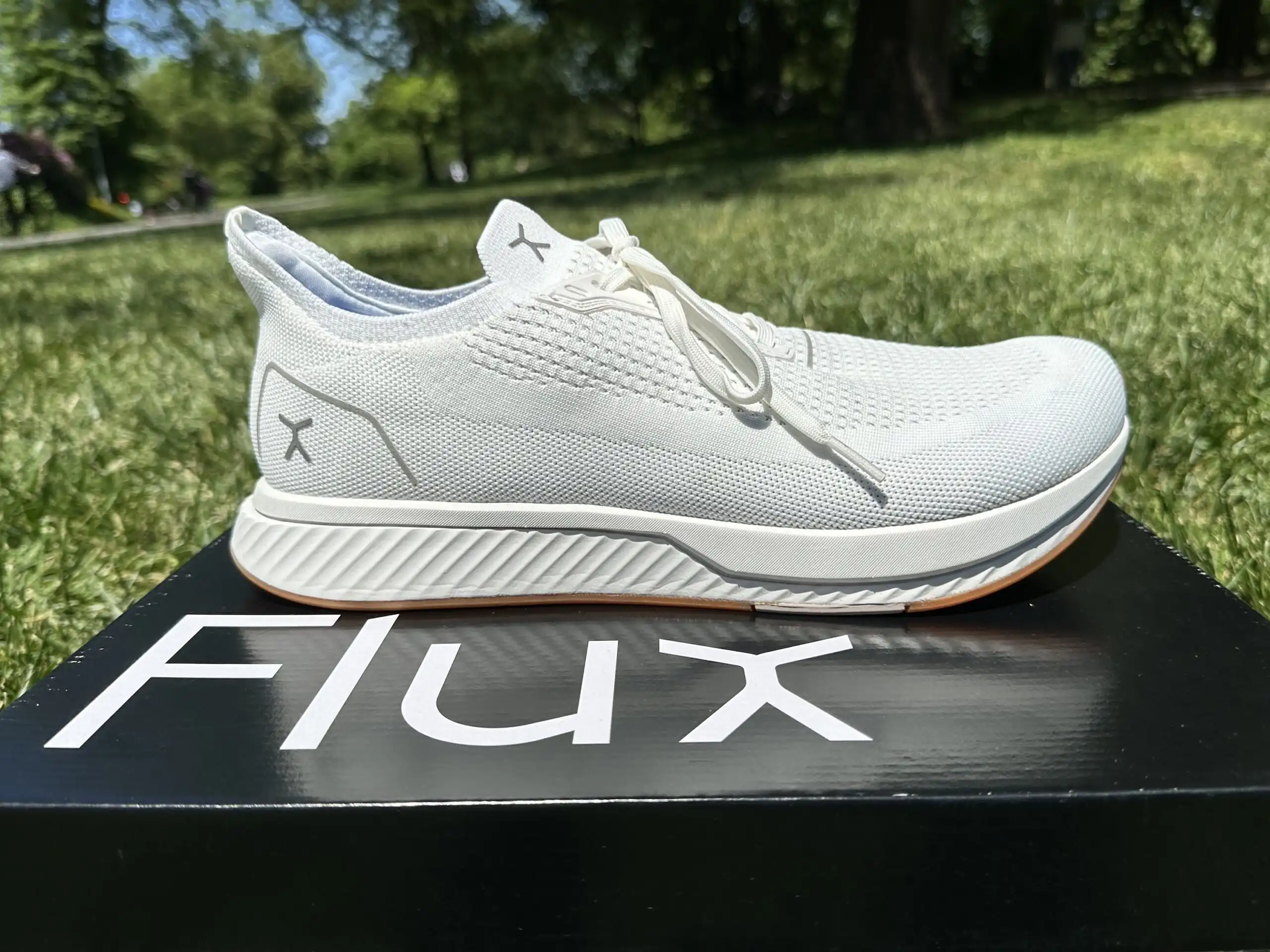 Flux Shoes Review