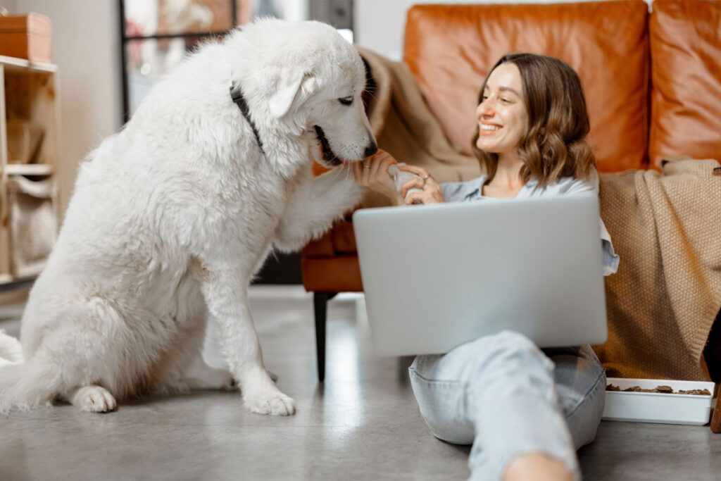Trusted House Sitters