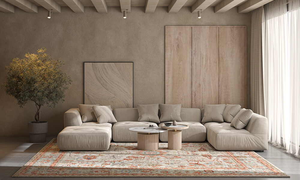 All Modern Rugs Review