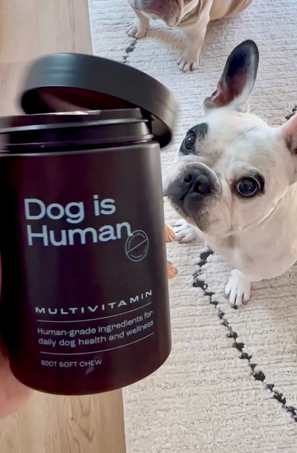 Dog is Human Dog Supplements Review