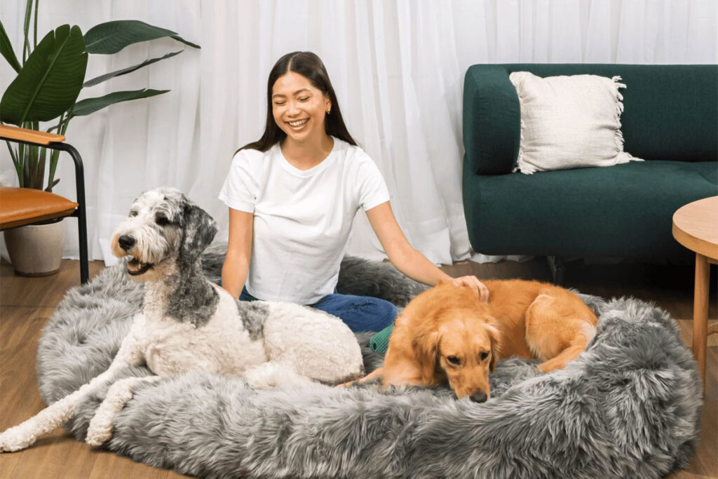 Dog is Human Review