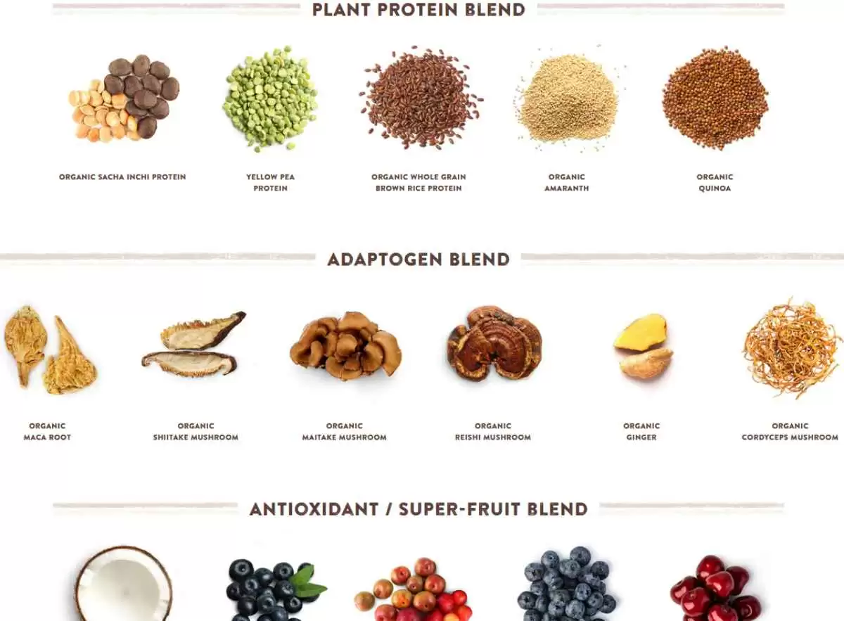 Ingredients