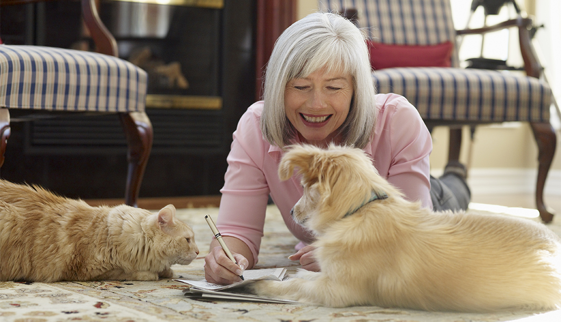 Overview of Trusted House Sitters