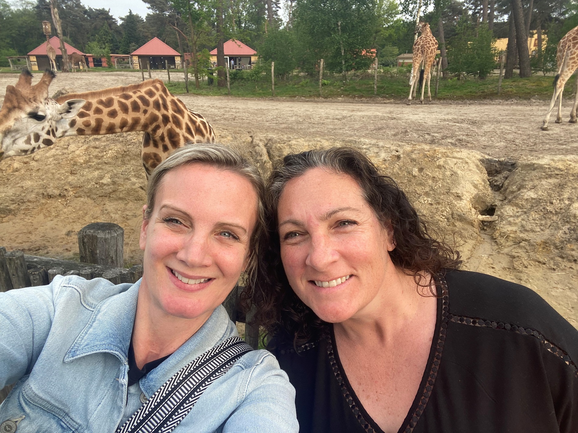 Staying at Beekse Bergen