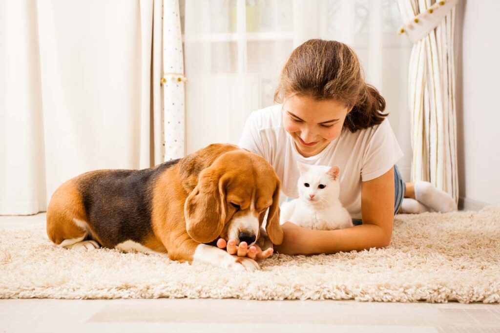 Trusted House Sitters Pet Sitter Review