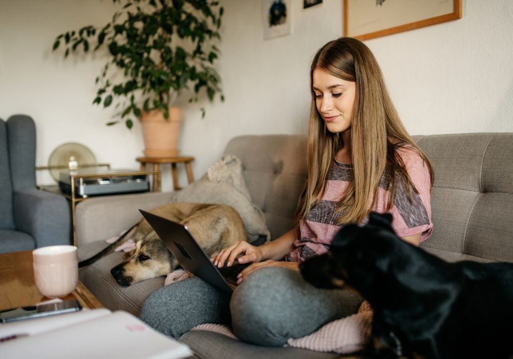 Trusted House Sitters Work