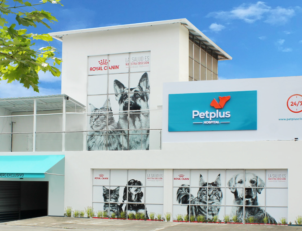 What Is PetPlus