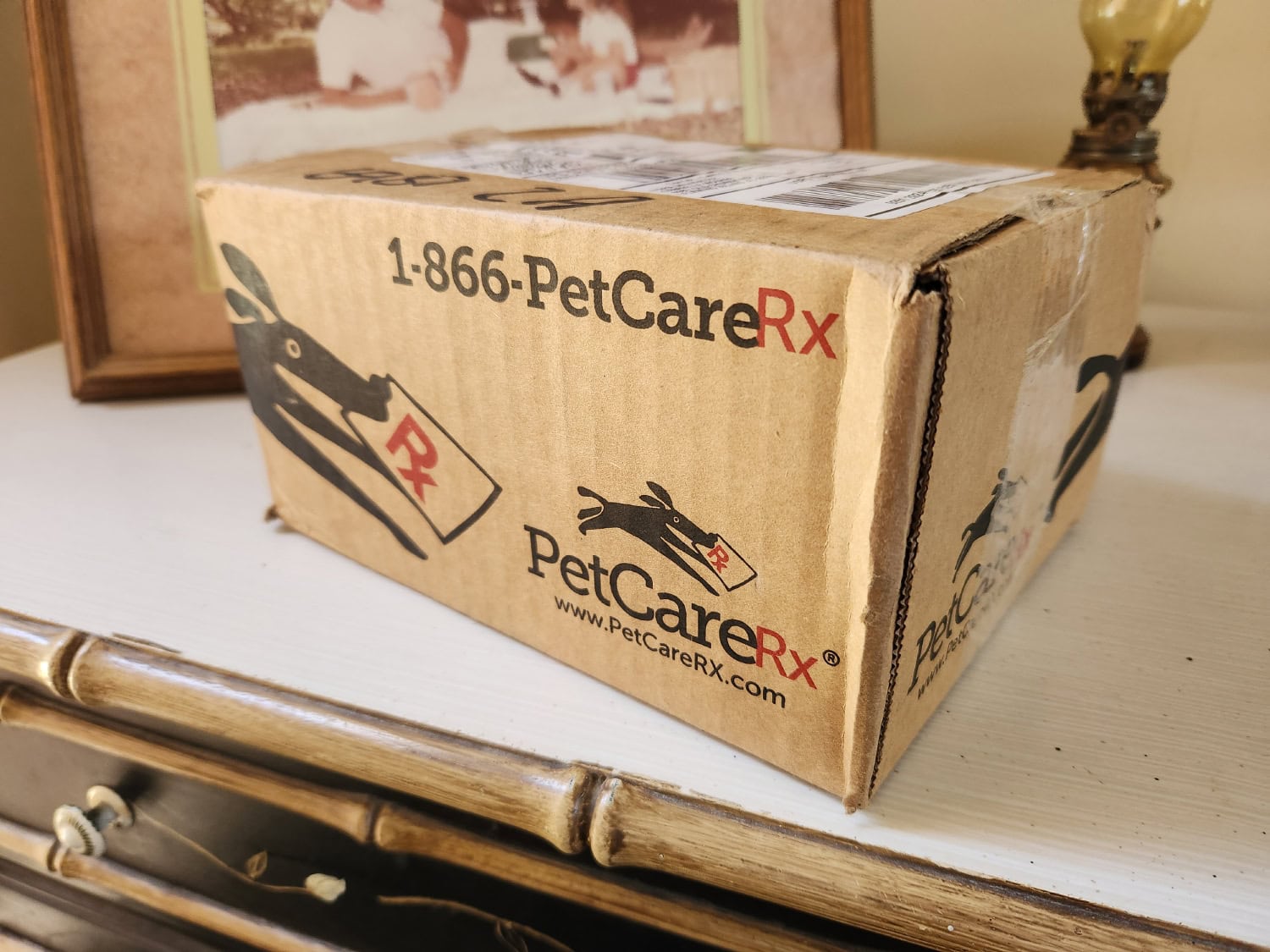 Who Is PetCareRX For