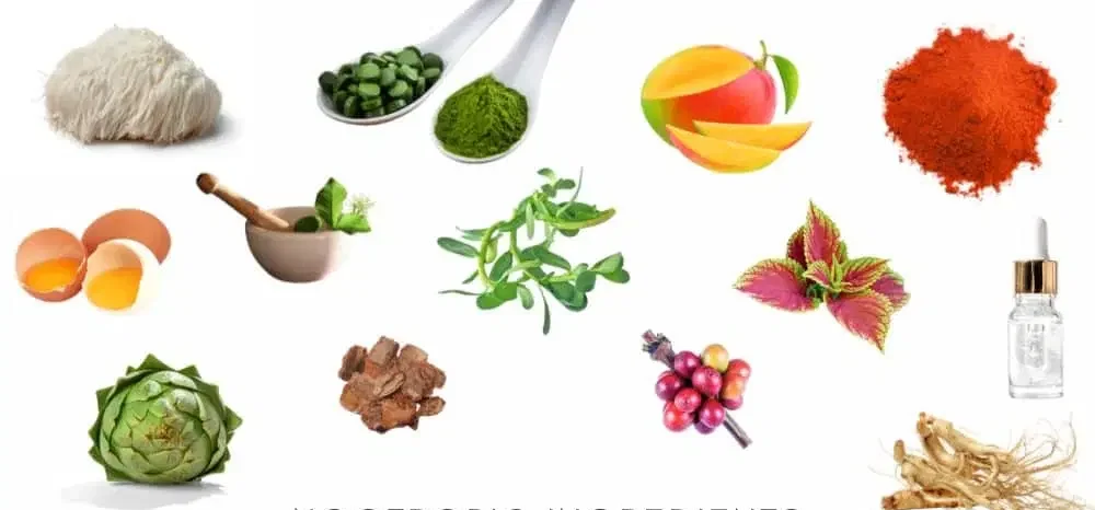 Thesis Nootropics Ingredients