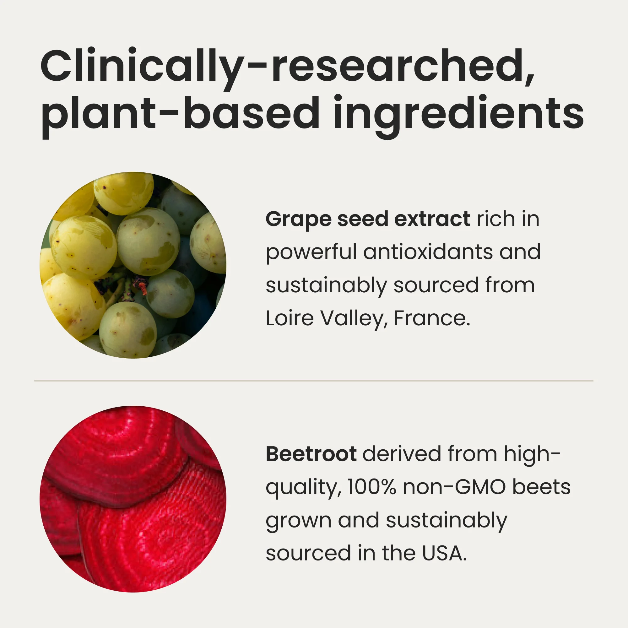 What Are The Ingredients In The SuperBeets