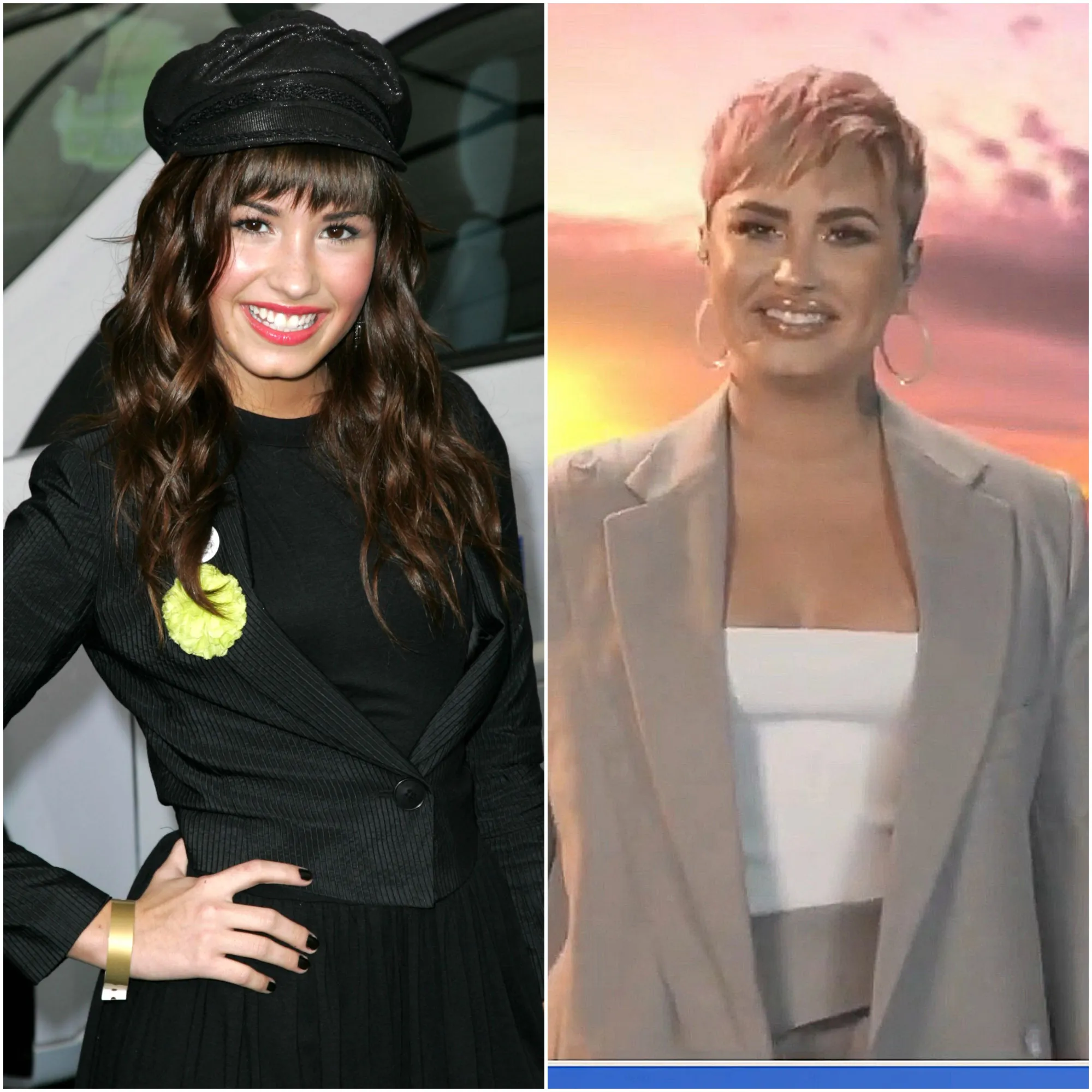 Demi Lovato Before and After